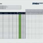 Projektmanagement Statusbericht Vorlage Hübsch Projektmanagement Statusbericht Vorlage Erstaunlich