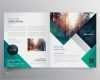 Projektmappe Vorlage Word Angenehm Sample Business Brochure
