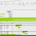 Projektplan Vorlage Word Einzigartig Projektplan Excel