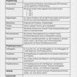 Projektplan Vorlage Word Erstaunlich Projektsteckbrief Vorlage Word – Mimpi