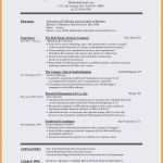 Projektplan Website Relaunch Vorlage Großartig Projektplan Excel