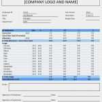 Projektplan Website Relaunch Vorlage Inspiration Projektplan Excel