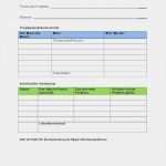 Projektplan Website Relaunch Vorlage Luxus Projektplan Excel Muster