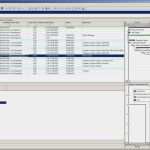 Projektplan Word Vorlage Elegant 27 Elegant Point View Worksheet 11