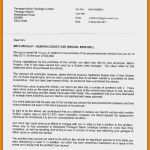 Projektplanung Erzieher Vorlage Erstaunlich Vorlage