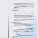 Projektplanung Erzieher Vorlage Luxus Rechnungsgenerator 2018 08 21t01 24