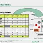 Projektportfolio Vorlage Fabelhaft Gemütlich Projektportfolio Vorlage Zeitgenössisch