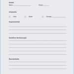 Projektprotokoll Vorlage Süß Protokoll Schreiben Vorlage