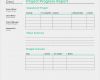 Projektreporting Excel Vorlage Genial 98 Free Status Report Template Template Qa Status