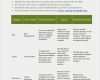 Projektreporting Excel Vorlage Gut Post Project Evaluation Template