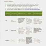 Projektreporting Excel Vorlage Gut Post Project Evaluation Template