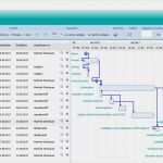 Projektreporting Excel Vorlage Süß Amxprojekt Amexus