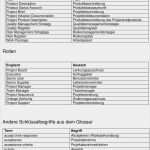 Projektstatusbericht Vorlage Ppt Fabelhaft Projektstatusbericht Super In 2018 T Project Status Report