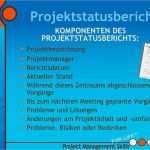 Projektstatusbericht Vorlage Ppt Neu Project Management Skills Ppt Herunterladen