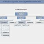 Projektstrukturplan Vorlage Excel Erstaunlich It Projektmanagement Pdf