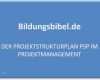 Projektstrukturplan Vorlage Pdf Best Of Projektstrukturplan Psp Aufbau Ablauf Gliederung