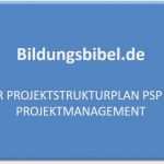 Projektstrukturplan Vorlage Pdf Best Of Projektstrukturplan Psp Aufbau Ablauf Gliederung