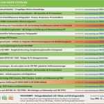 Projektstrukturplan Vorlage Pdf Schönste Vorschau Pdf Projektstrukturplan Inkl Anwendertipps