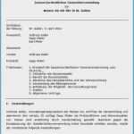 Protokoll Meeting Vorlage Cool 13 Protokoll Vorlage