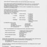 Protokoll Vereinssitzung Vorlage Kostenlos Erstaunlich Protokoll Vereinssitzung Vorlage Kostenlos – Various Vorlagen