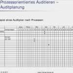 Prozessaudit Vda 6.3 Vorlage Einzigartig Prozessorientiertes Auditieren Pdf