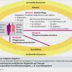 Prozesslandkarte Vorlage Kostenlos Inspiration 4 Pflegewissenschaft Pflegepädagogik Georg Thieme Verlag