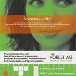 Prozesslandkarte Vorlage Word Erstaunlich Prozessmanagement & Geschäftsprozesse Checkliste