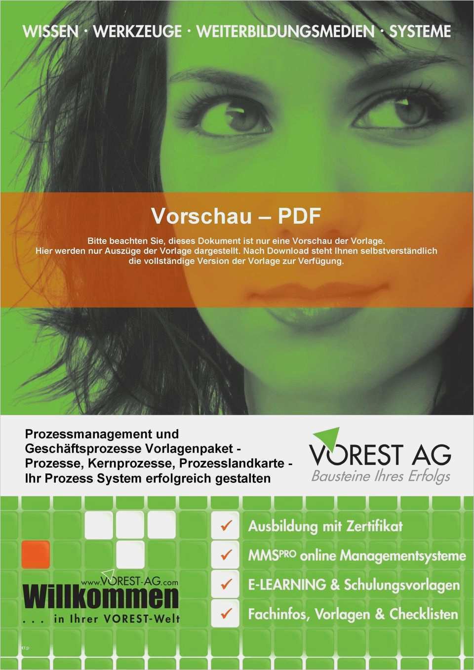 Prozesslandkarte Vorlage Word Erstaunlich Prozessmanagement & Geschäftsprozesse Checkliste
