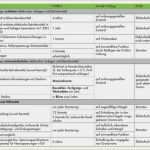 Prüfprotokoll Elektrischer Anlagen Vorlage Genial Prüfung Elektrischer Anlagen Prüfung Elektrischer