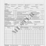 Prüfprotokoll Elektrischer Anlagen Vorlage Schönste Prüfprotokoll Elektrischer Anlagen E Handwerk Lineshop