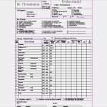 Prüfprotokoll Vde 0701 Vorlage Erstaunlich Prüfprotokoll Elektro – Nebenkosten Für Ein Haus