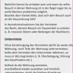 Putzplan Treppenhausreinigung Vorlage Hübsch Putzplan Treppenhausreinigung Vorlage Reinigungsplan Küche