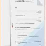 Putzplan Treppenhausreinigung Vorlage Süß Putzplan Treppenhausreinigung Vorlage Reinigungsplan Küche