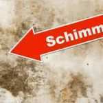 Putzplan Vorlage Firma Elegant Schimmel Entfernen Von Der Wand – Haushalt Putzen