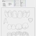 Qm Vorlagen Kostenlos Schönste Qm Arztpraxis Vorlagen Kostenlos Luxus Stellenbeschreibung