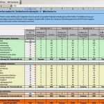 Qualifikationsmatrix Excel Vorlage Kostenlos Einzigartig Bewerbermatrix Excel 2007