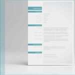 Quereinsteiger Bewerbung Vorlage Wunderbar Bewerbung Anschreiben Muster Von Designlebenslauf