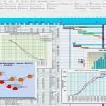 Raci Matrix Vorlage Elegant Matrixfunktion Excel