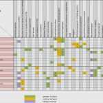 Raci Matrix Vorlage Gut Erfreut Raci Vorlage Galerie Vorlagen Ideen fortsetzen