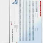 Rapportzettel Vorlage Handwerk Best Of Rapportzettel Vorlage Handwerk Einzigartig Stundenzettel