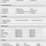 Rauchmelder Protokoll Vorlage Süß Gemütlich Besprechungsnotiz Die Vorlage Nimmt Galerie