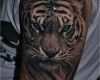 Realistic Tattoo Vorlagen Einzigartig 1001 Ultra Coole Tiger Tattoo Ideen Zur Inspiration