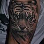 Realistic Tattoo Vorlagen Einzigartig 1001 Ultra Coole Tiger Tattoo Ideen Zur Inspiration