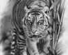 Realistic Tattoo Vorlagen Fabelhaft Realistic Tiger Pencil Drawing by Marica Póti at Creation