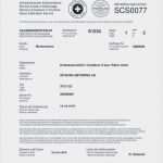 Rechnung Bereits Bezahlt Vorlage Süß 71 Schönste Vollmacht Kfz Versicherung Modelle