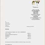 Rechnung Nachhilfe Vorlage Einzigartig 17 Nachhilfe Rechnungs Vorlage Vorlagen123 Vorlagen123