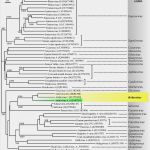 Rechnung Nachhilfe Vorlage Inspiration Kalkulatorische Zinsen Berechnen Beispiel Kalkulatorische