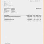 Rechnung Usa Vorlage Erstaunlich 13 Rechnung Selbstständig Muster