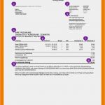 Rechnung Widerspruch Vorlage Einzigartig 8 Widerspruch Rechnung O2 Muster