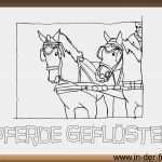 Rechtliche Hinweise Homepage Vorlage Angenehm Ausmalbilder Pferde